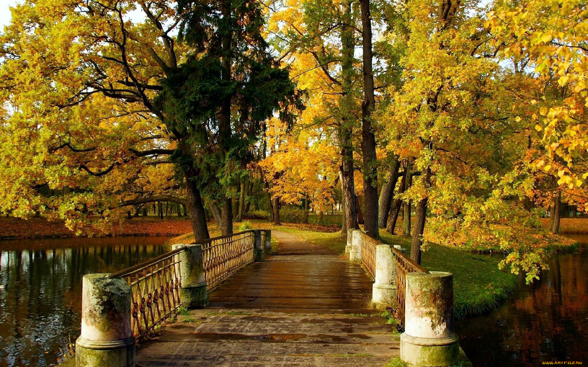 Осень в парках